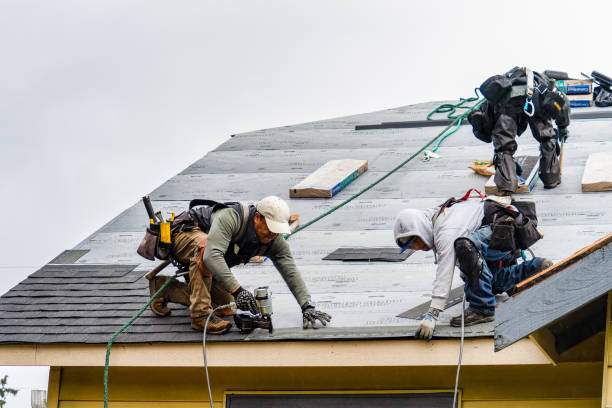 Professional Storm Damage Roof Repair technician working in Hooper, NE